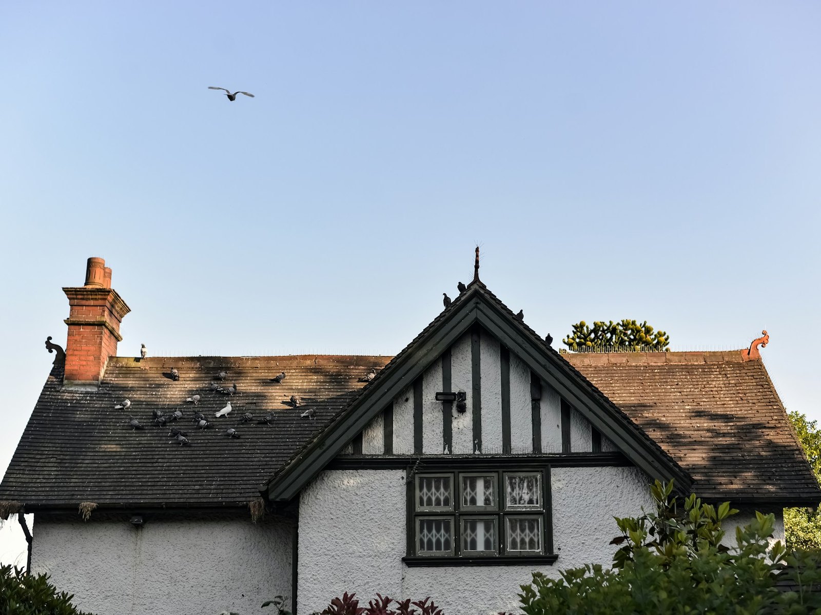 Emergency Repairs project 4 in Northern Ireland
