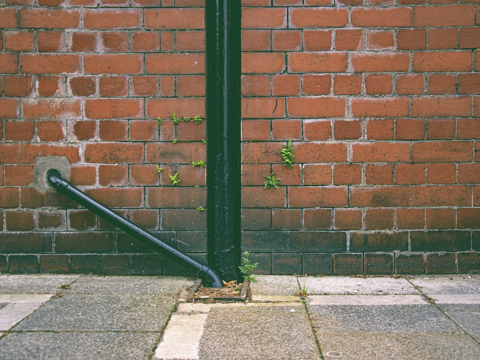 Guttering & Drainage project 6 in Northern Ireland