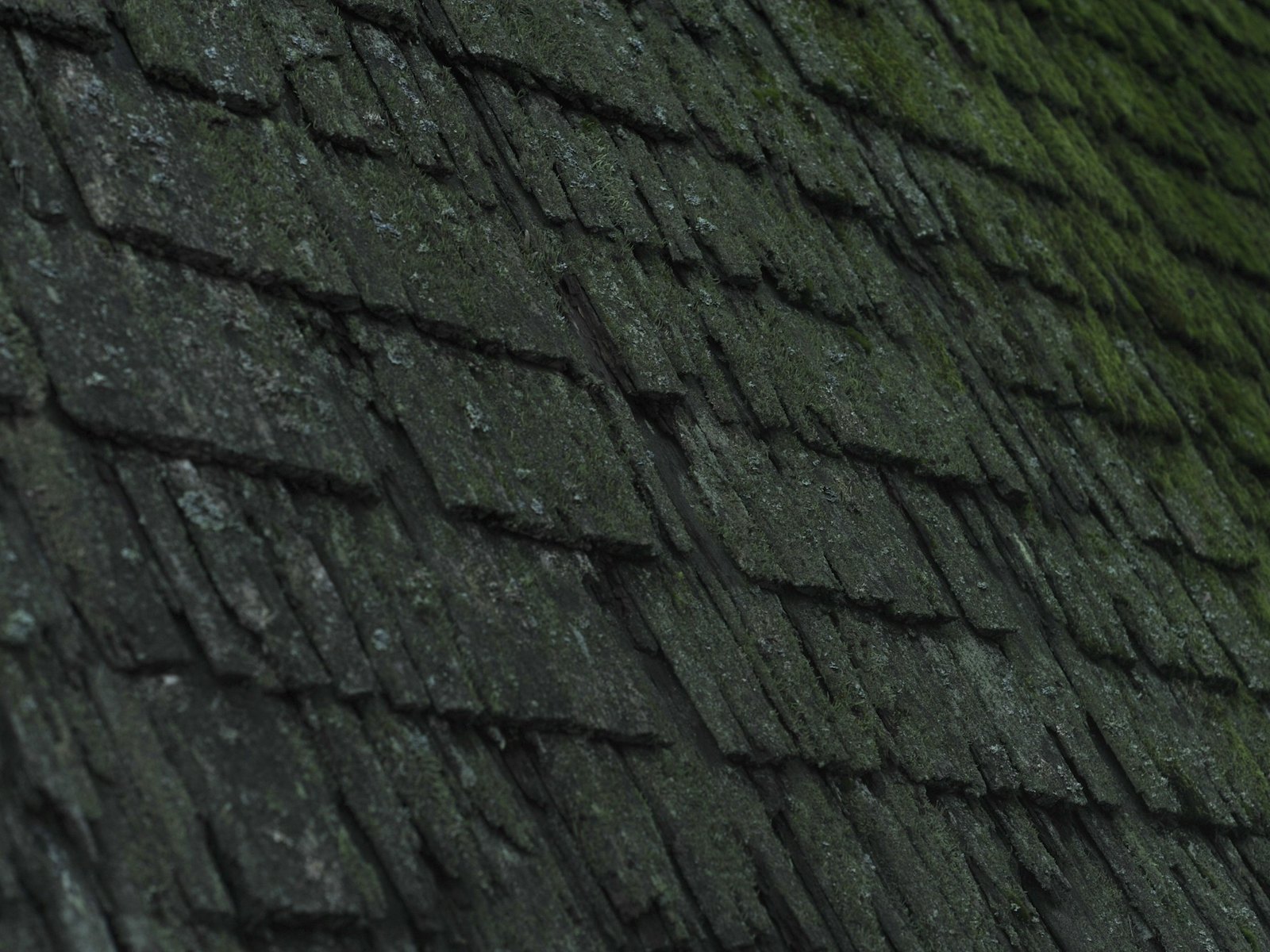 Roof Inspections project 3 in Northern Ireland